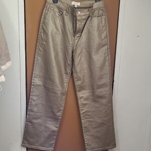 Banana Republic Metallic Silver Straight Jeans